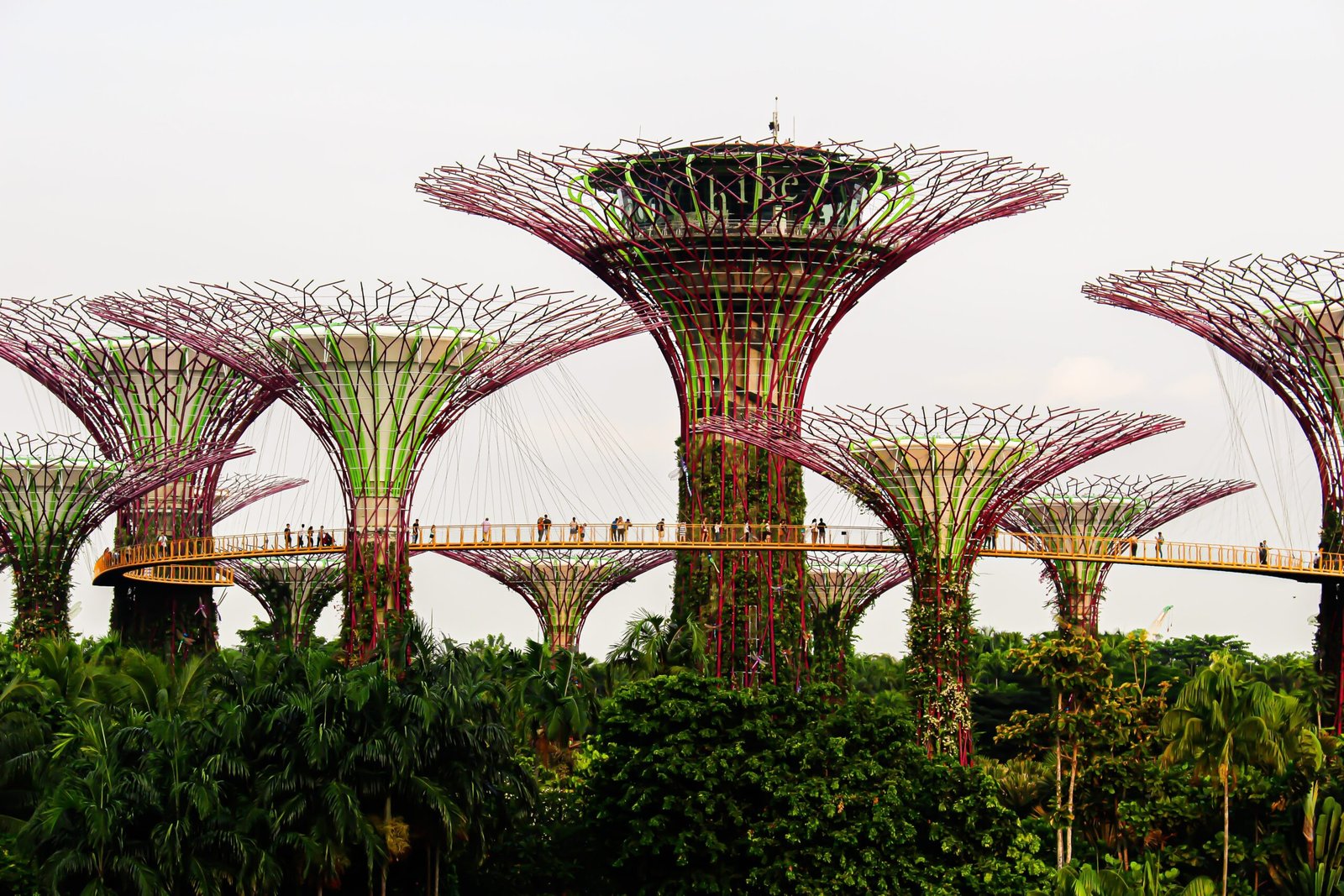 green trees and plants under white sky during daytime